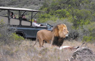 Amakhala Safari Lodge